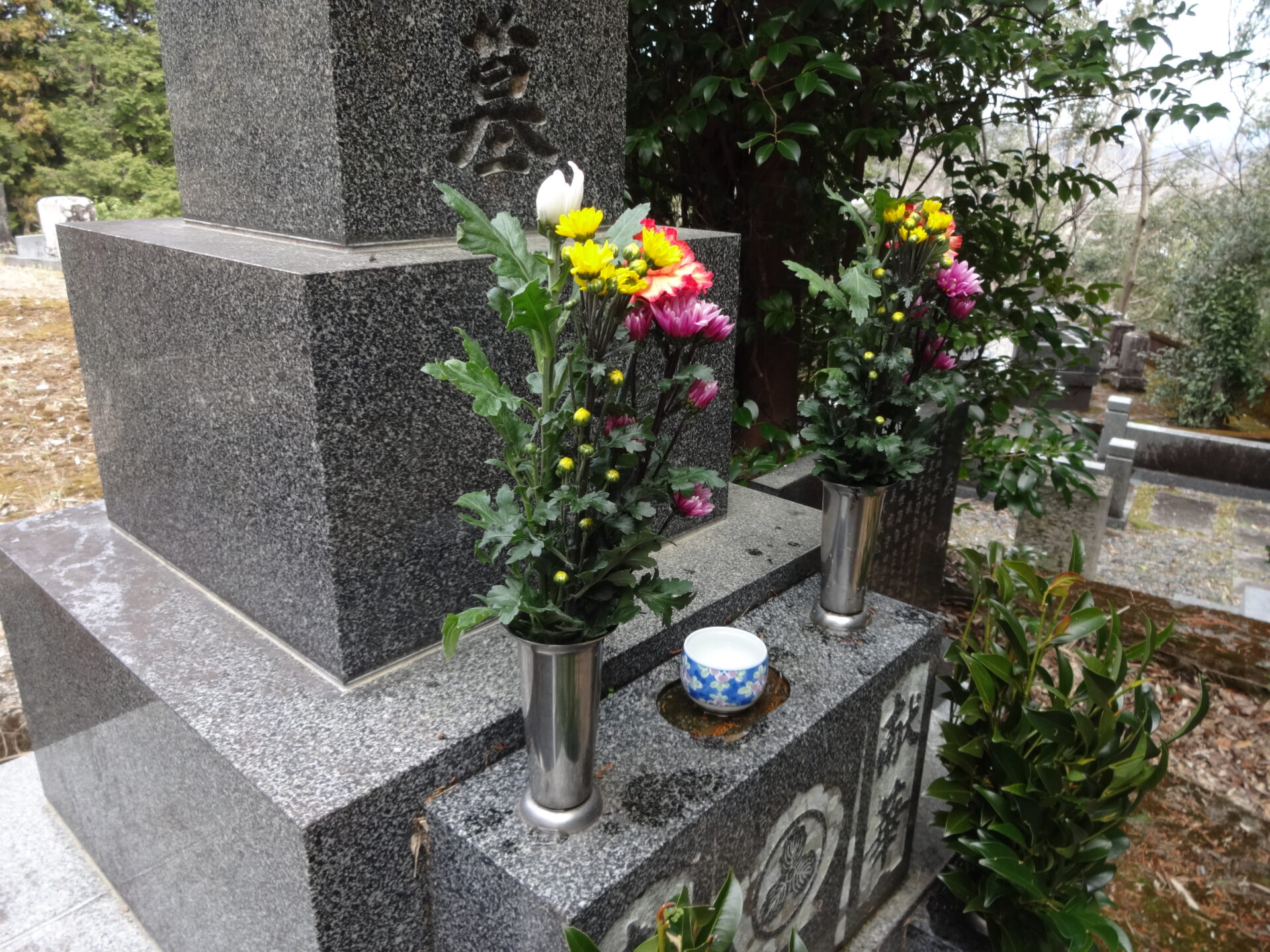 100均でも買える？造花の価格帯と品質