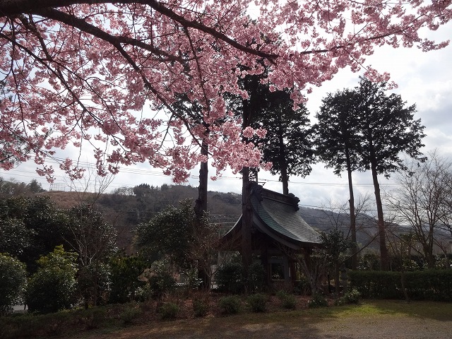 避けるべき行為やタブーについて