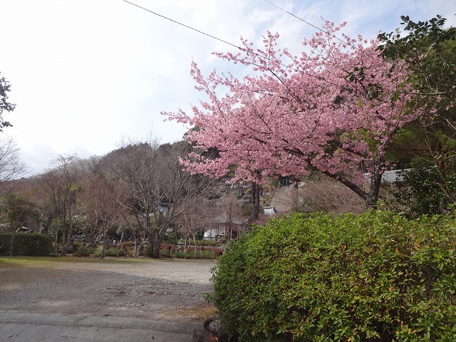 意味や由来について詳しく解説