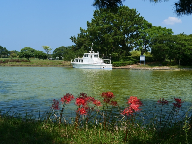いい意味を持つ花言葉