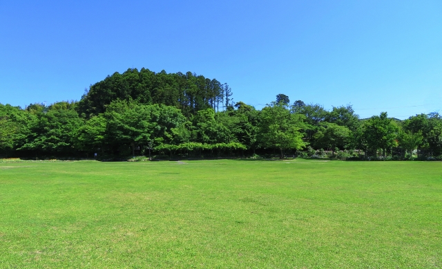 昭和の日とみどりの日のつながり