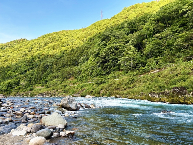法律から見るみどりの日の成り立ち