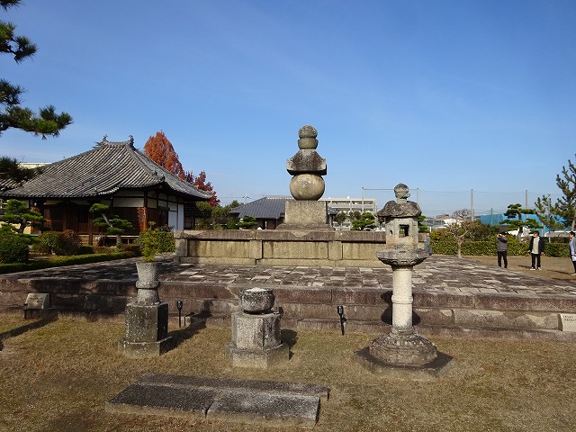 形の特徴と構造について