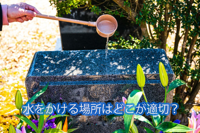 水をかける場所はどこが適切？