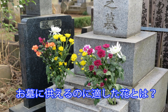 お墓に供えるのに適した花とは？