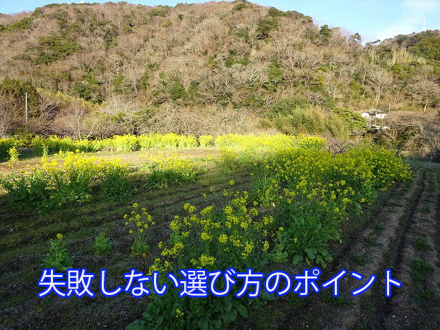 失敗しない選び方のポイント