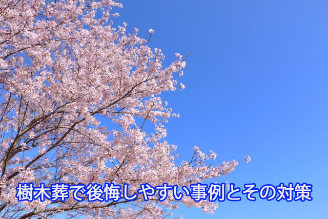 樹木葬で後悔しやすい事例とその対策