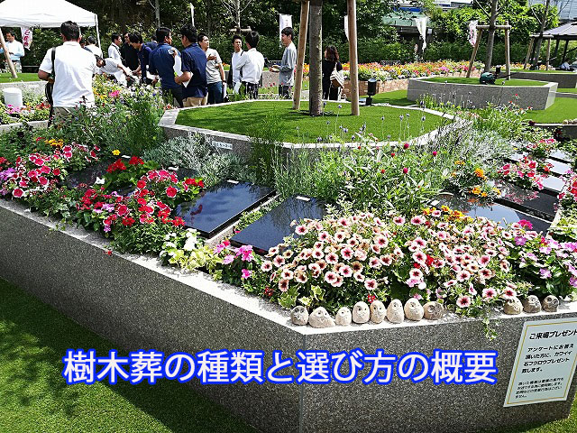 樹木葬の種類と選び方の概要