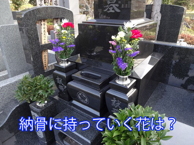 納骨に持っていく花は?