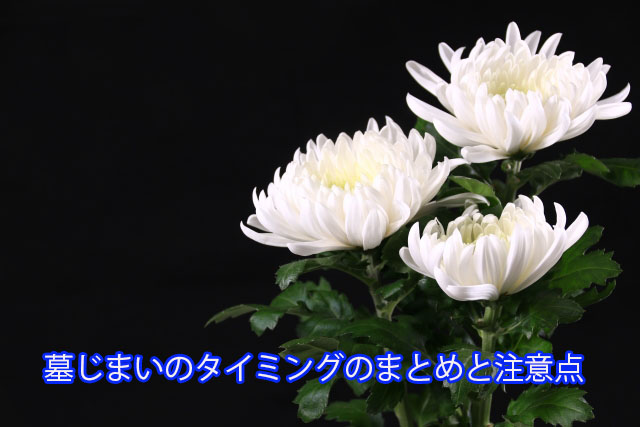 墓じまいのタイミングのまとめと注意点