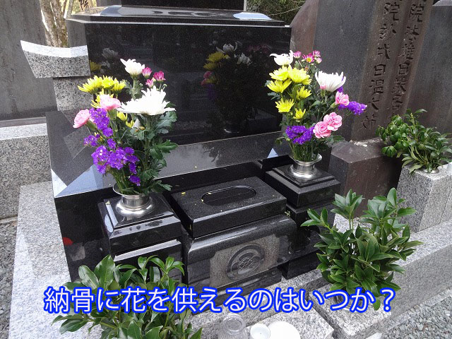 納骨に花を供えるのはいつか?