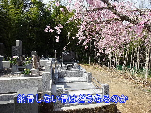 納骨しない骨はどうなるのか