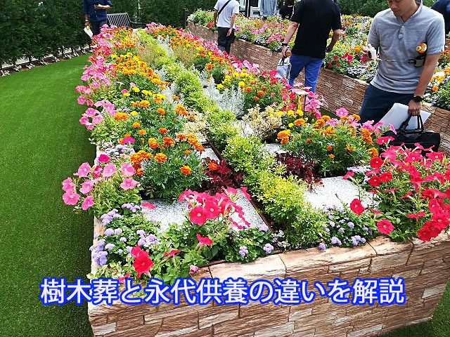 樹木葬と永代供養の違いを解説