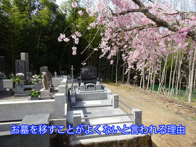 お墓を移すことがよくないと言われる理由