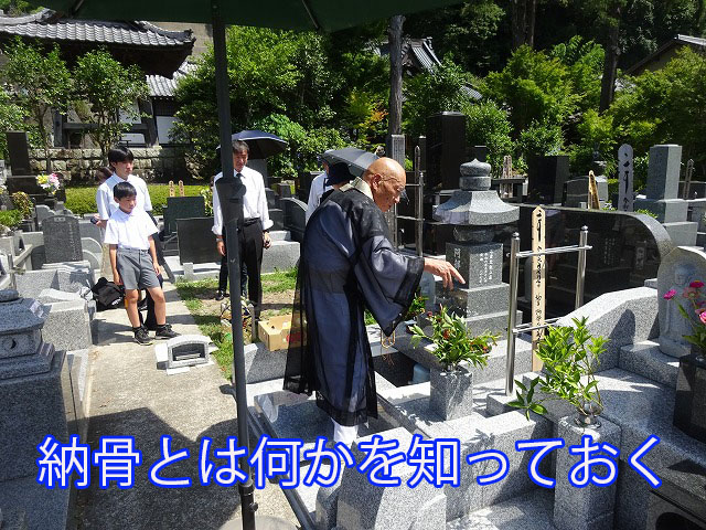 納骨とは何かを知っておく