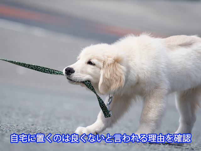 自宅に置くのは良くないと言われる理由を確認