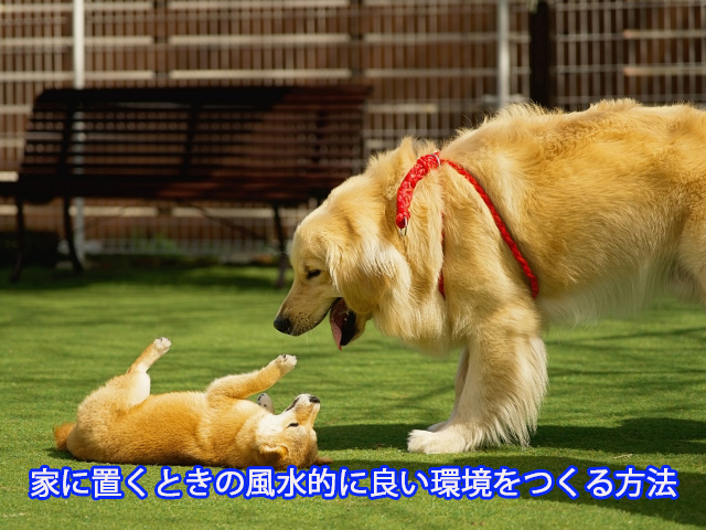 家に置くときの風水的に良い環境をつくる方法