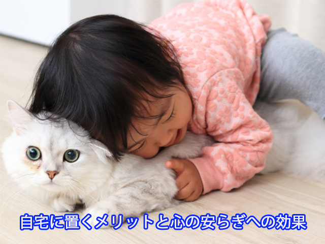 自宅に置くメリットと心の安らぎへの効果