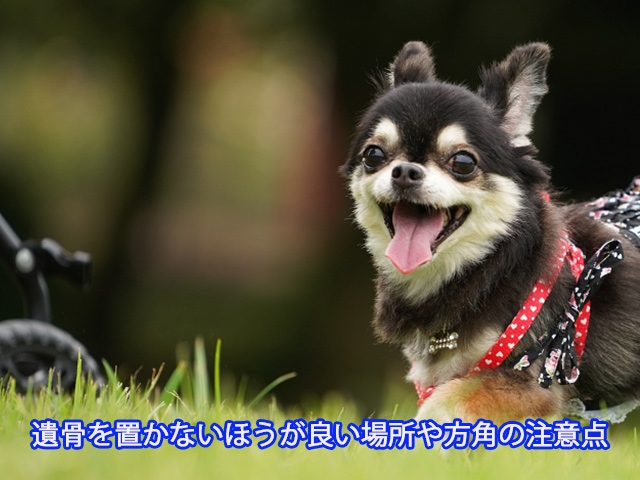 遺骨を置かないほうが良い場所や方角の注意点