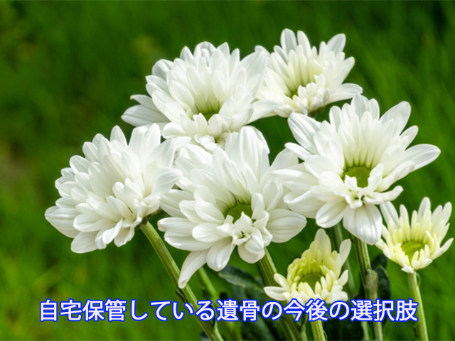 自宅保管している遺骨の今後の選択肢