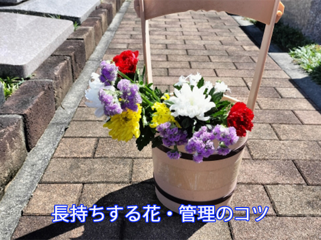 長持ちする花・管理のコツ