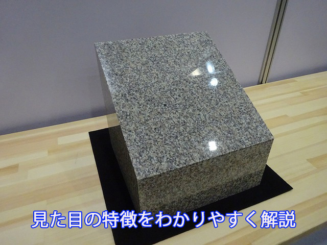 見た目の特徴をわかりやすく解説