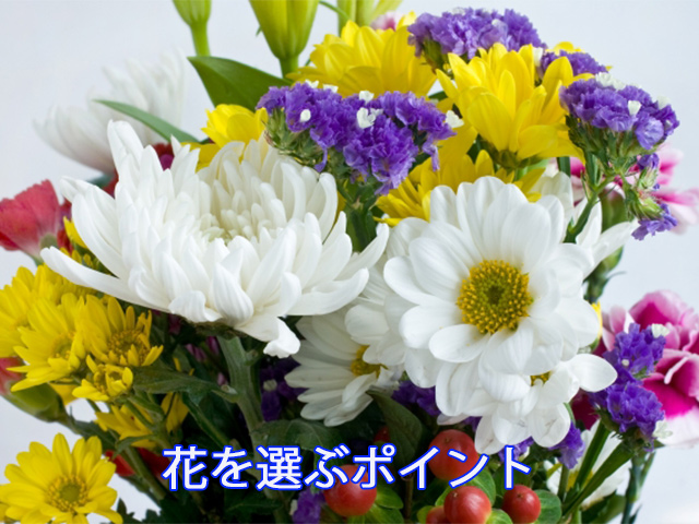 花を選ぶポイント