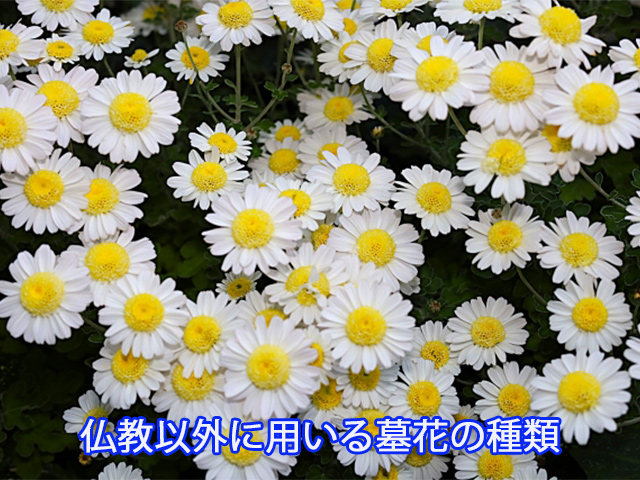 仏教以外に用いる墓花の種類