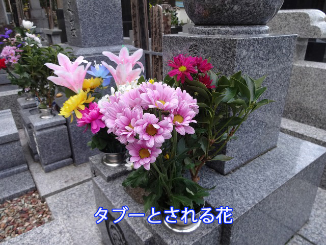 タブーとされる花