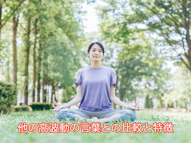 他の高波動の言葉との比較と特徴