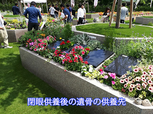 閉眼供養後の遺骨の供養先