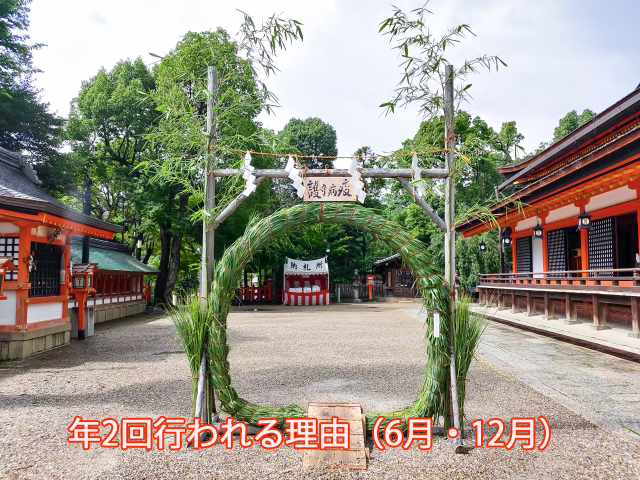 年2回行われる理由(6月・12月)