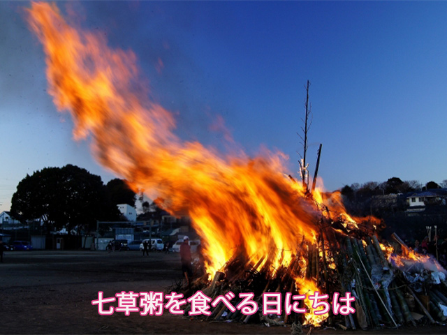 七草粥を食べる日にちは