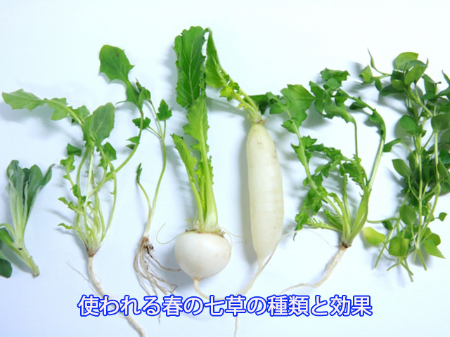 使われる春の七草の種類と効果