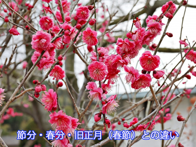 節分・春分・旧正月（春節）との違い