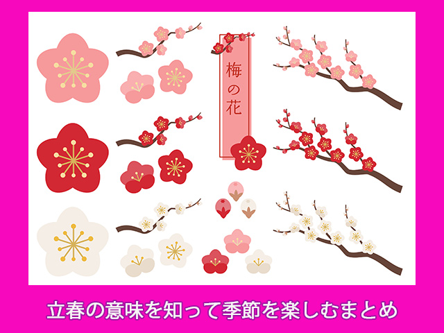 立春の意味を知って季節を楽しむまとめ