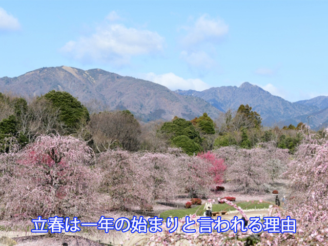 立春は一年の始まりと言われる理由