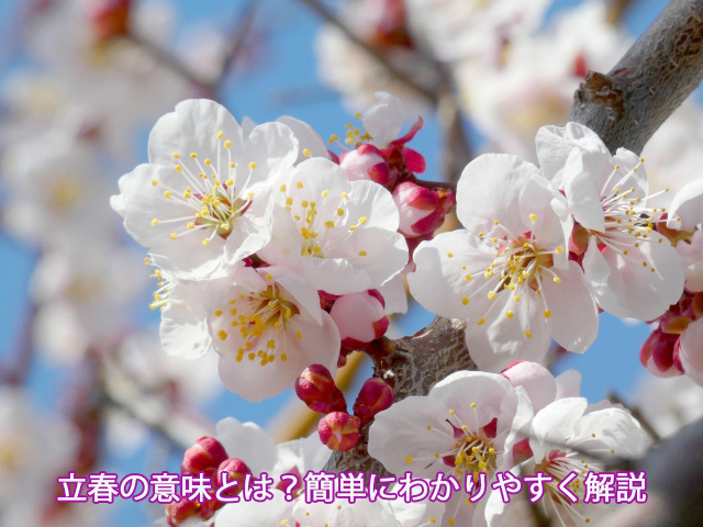 立春の意味とは？簡単にわかりやすく解説
