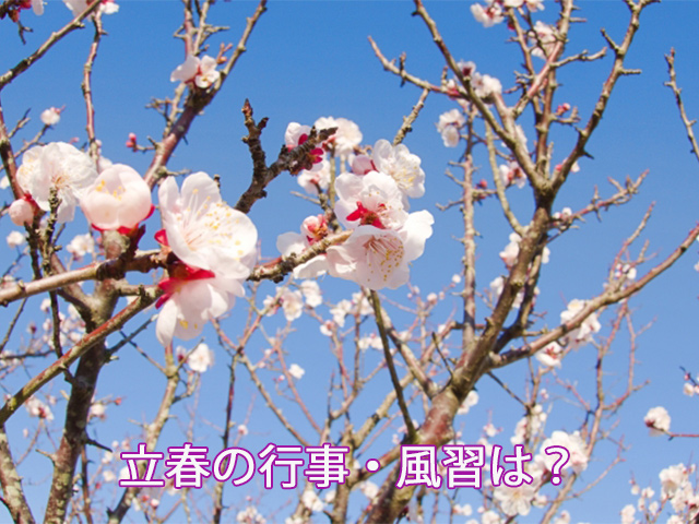 立春の行事・風習は？