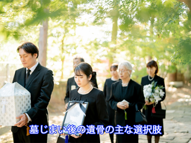 墓じまい後の遺骨の主な選択肢