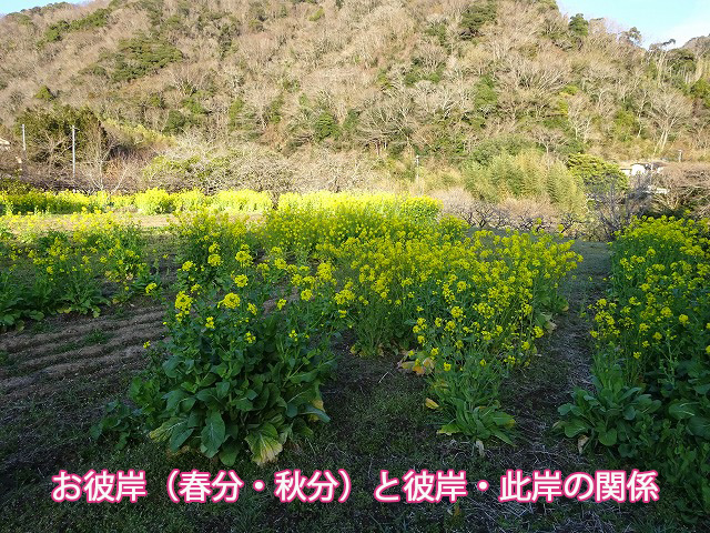 お彼岸（春分・秋分）と彼岸・此岸の関係