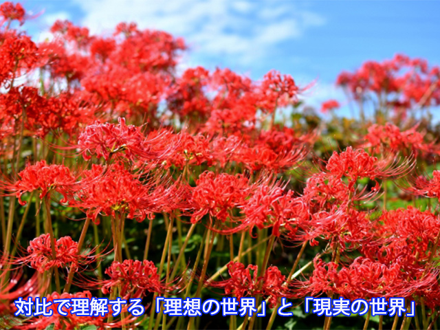 対比で理解する「理想の世界」と「現実の世界」