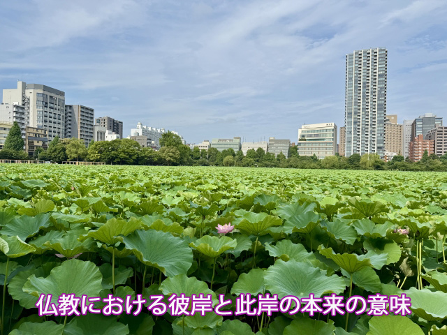仏教における彼岸と此岸の本来の意味