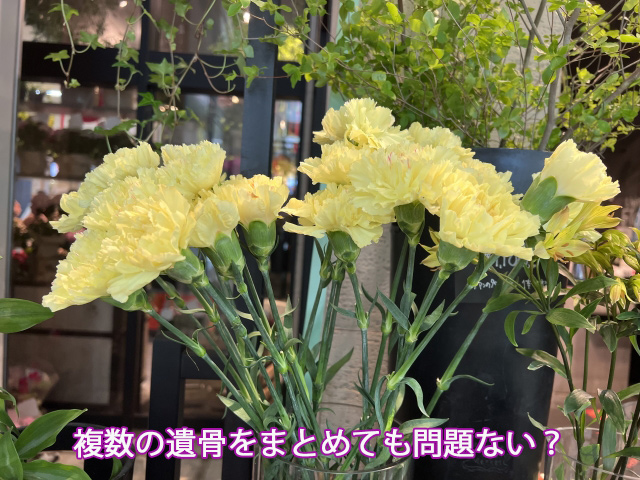 複数の遺骨をまとめても問題ない？